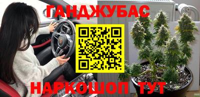 гидра Лесосибирск
