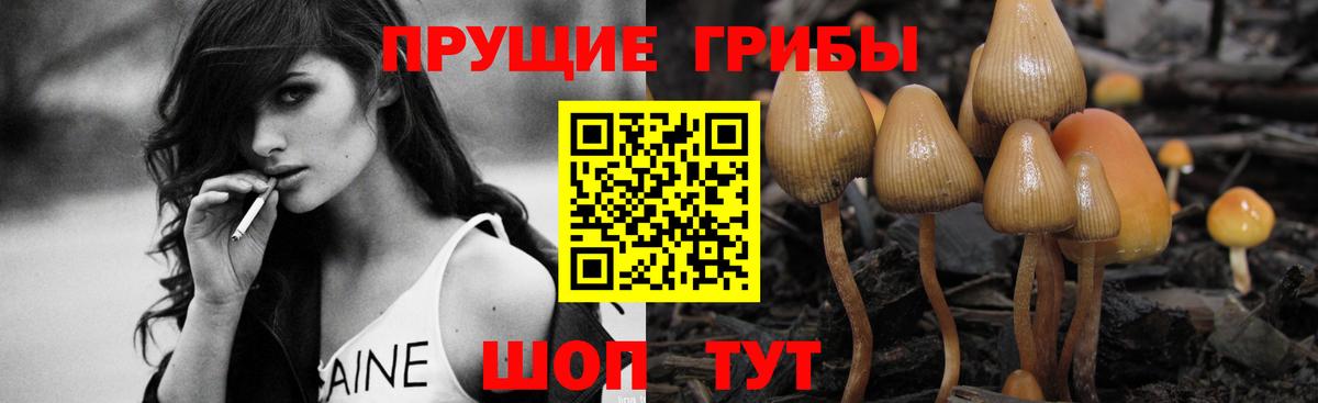 Ханты-Мансийск  Галлюциногенные грибы мицелий  купить закладку  Псилоцибиновые грибы GOLDEN TEACHER  Вход с VPN 